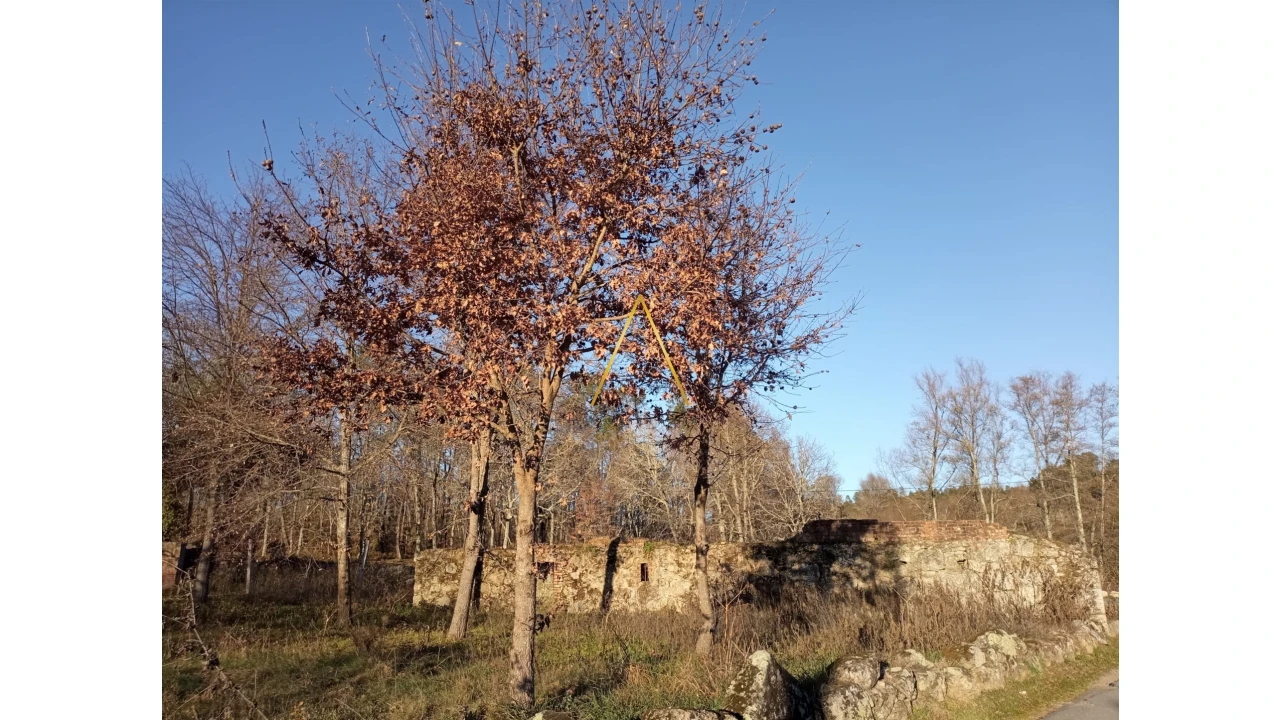 Terreno para Venda em Orgens Foto 7