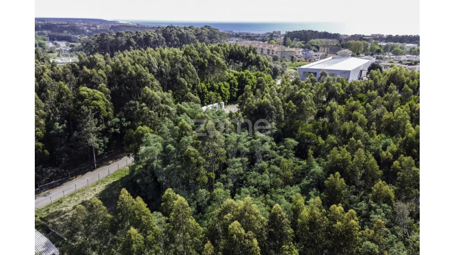 Terreno para Venda em Serzedo e Perosinho Foto 14