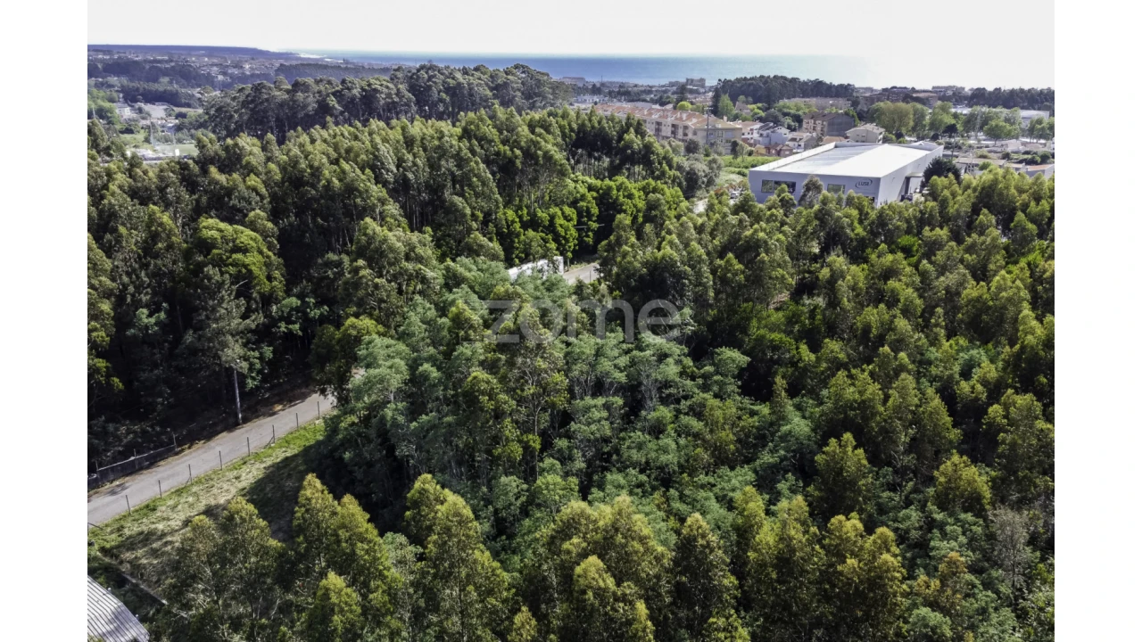 Terreno para Venda em Serzedo e Perosinho Foto 14