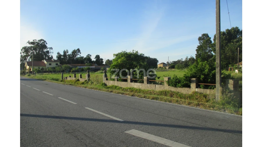 Terreno para Venda em Arazede Foto 23