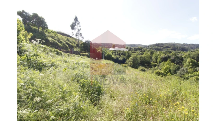 Terreno para Venda em Prado (São Miguel) Foto 9