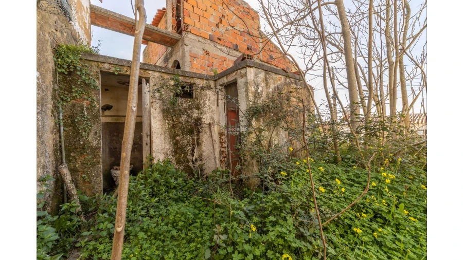 Armazém para Venda em Chamusca e Pinheiro Grande Foto 6