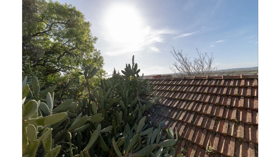 Armazém para Venda em Chamusca e Pinheiro Grande Foto 8