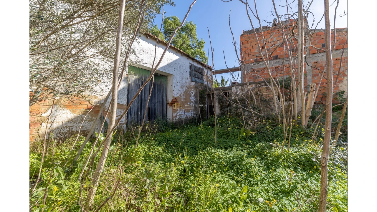 Armazém para Venda em Chamusca e Pinheiro Grande Foto 5
