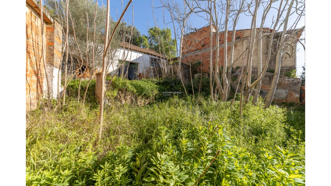 Armazém para Venda em Chamusca e Pinheiro Grande Foto 2