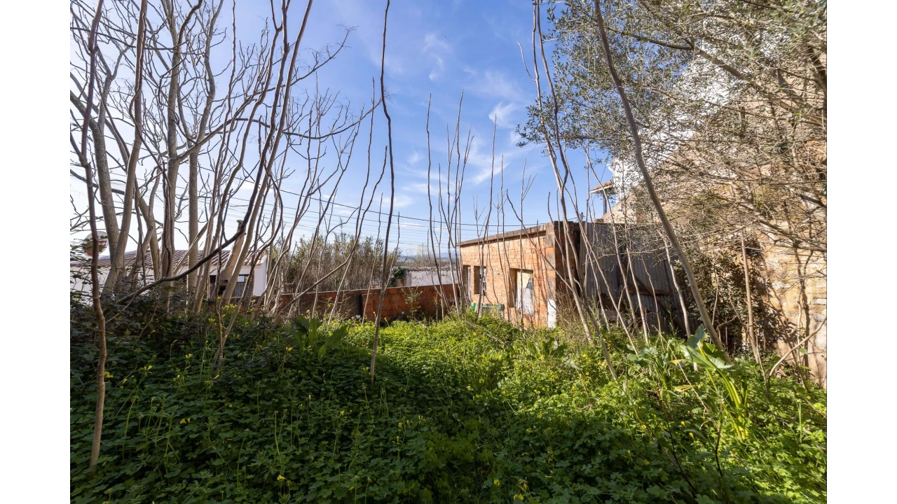 Armazém para Venda em Chamusca e Pinheiro Grande Foto 1