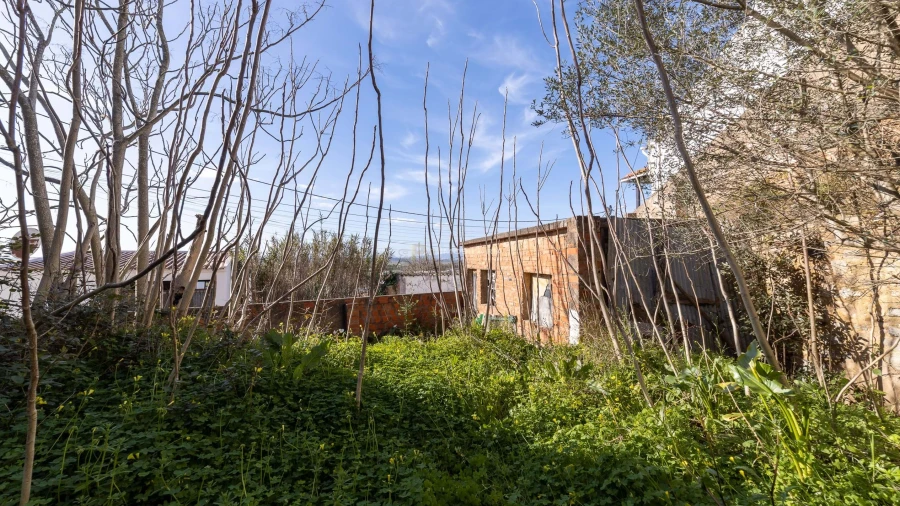 Armazém para Venda em Chamusca e Pinheiro Grande