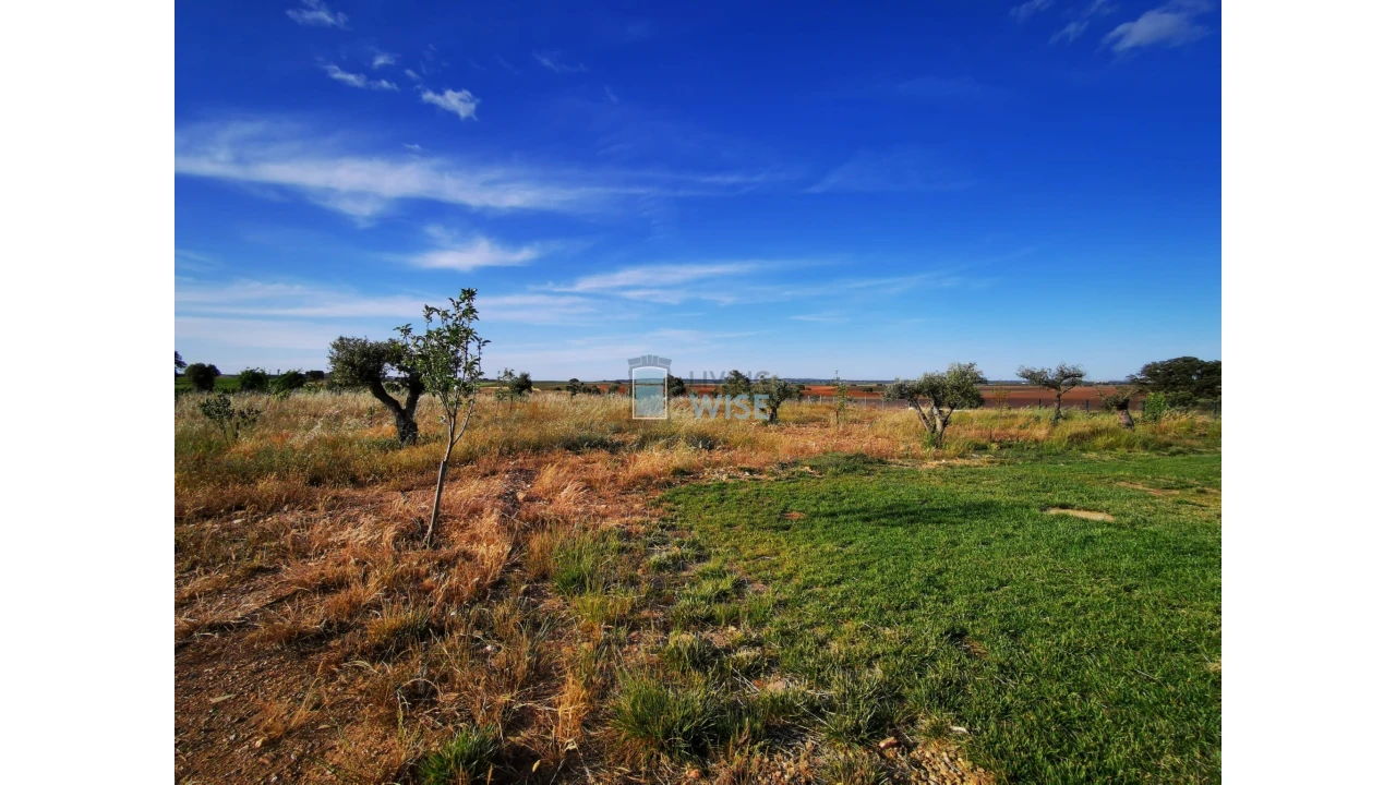 Moradia T4 para Venda em Ervidel Foto 38