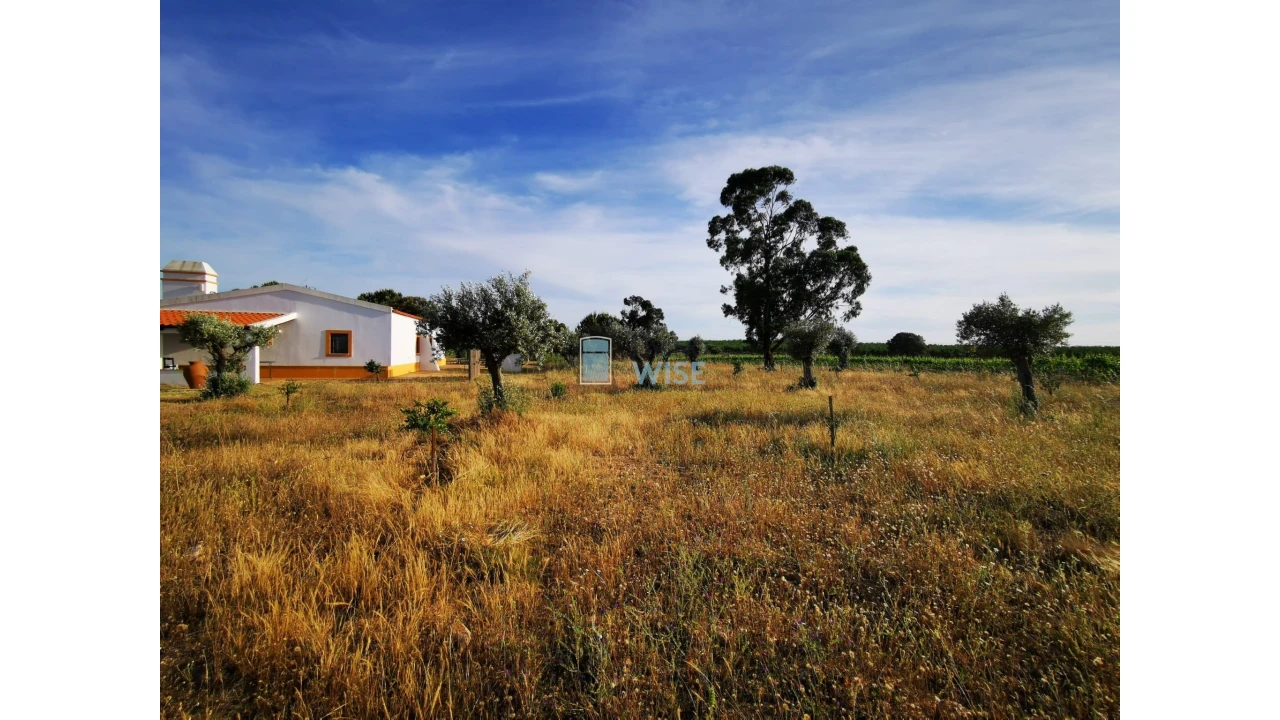 Moradia T4 para Venda em Ervidel Foto 36