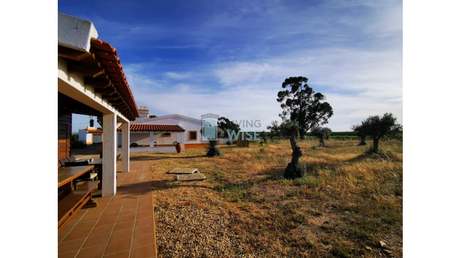 Moradia T4 para Venda em Ervidel Foto 4