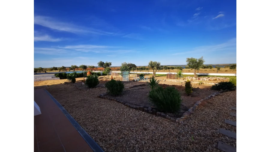 Moradia T4 para Venda em Ervidel Foto 24