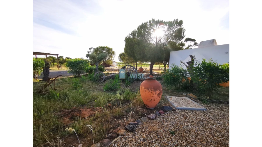 Moradia T4 para Venda em Ervidel Foto 17