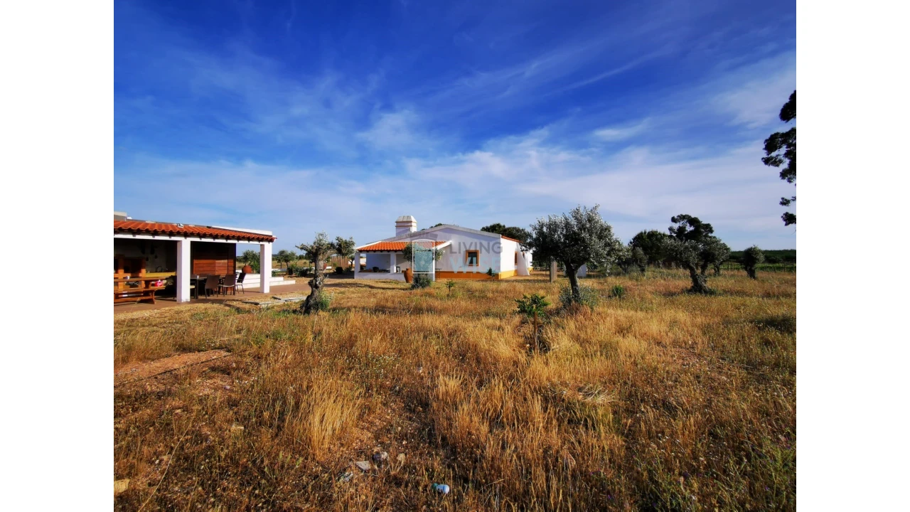 Moradia T4 para Venda em Ervidel Foto 2