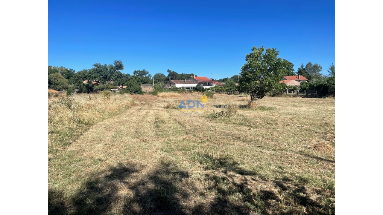 Quinta T5 para Venda em Castelo Branco Foto 14