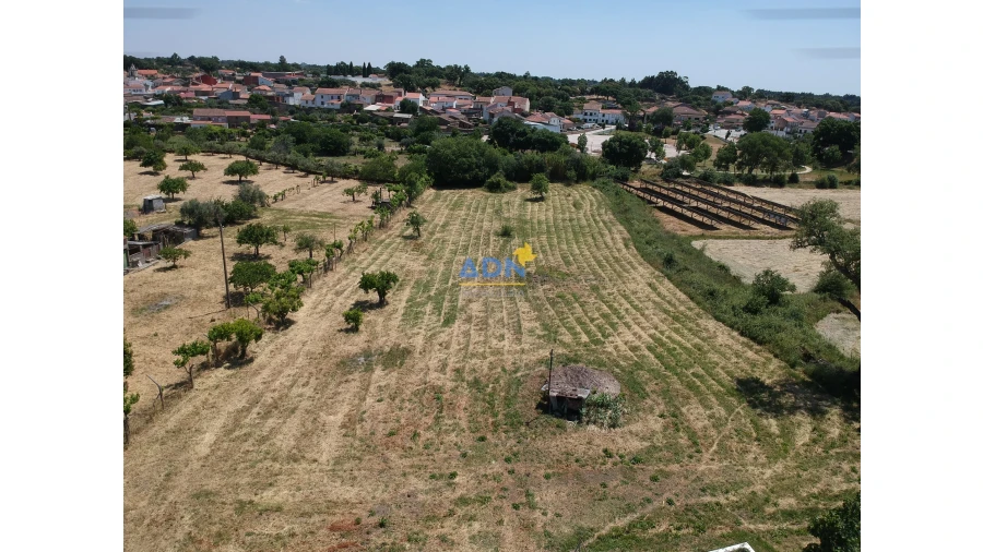 Quinta T5 para Venda em Castelo Branco Foto 13