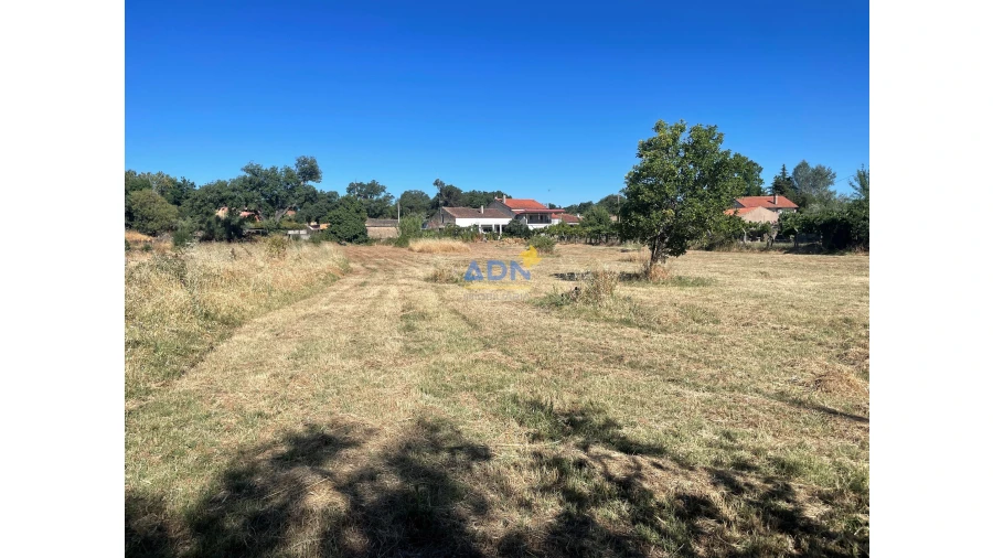 Quinta T5 para Venda em Castelo Branco Foto 14