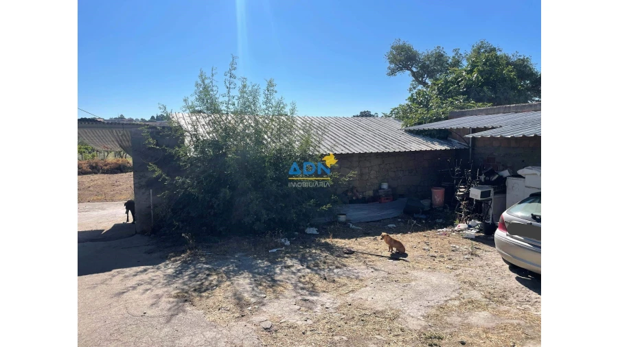 Quinta T5 para Venda em Castelo Branco Foto 11