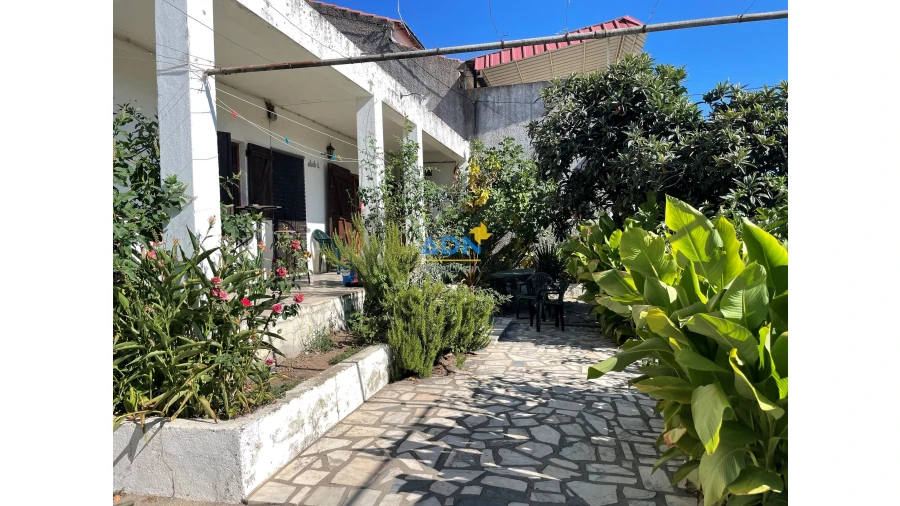 Quinta T5 para Venda em Castelo Branco Foto 4