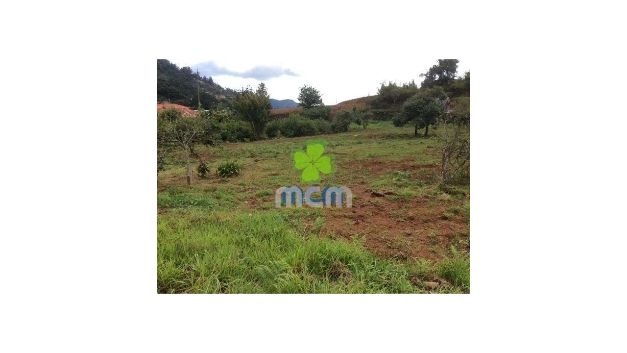 Terreno para Venda em Santo Antonio da Serra Foto 2