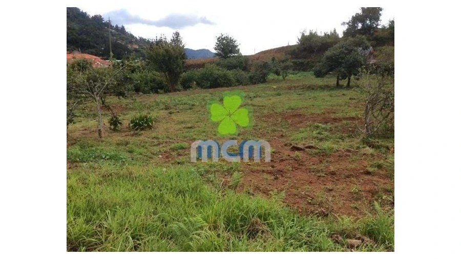 Terreno para Venda em Santo Antonio da Serra Foto 2