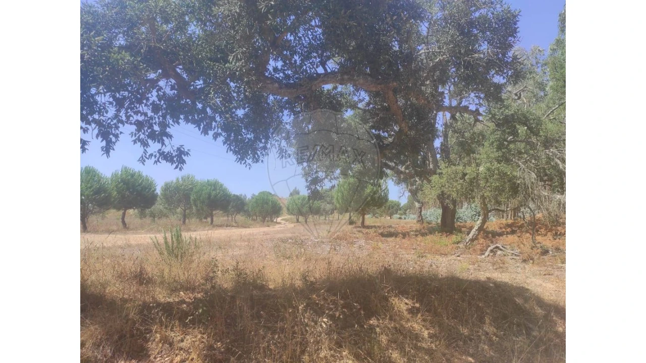 Terreno para Venda em Alcoentre Foto 4