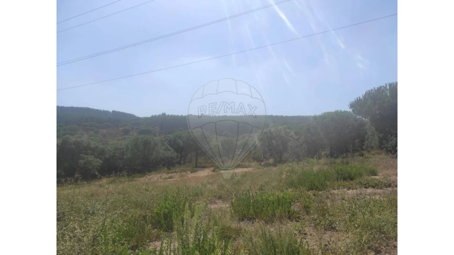 Terreno para Venda em Alcoentre Foto 3