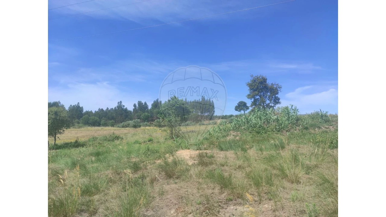 Terreno para Venda em Alcoentre Foto 1