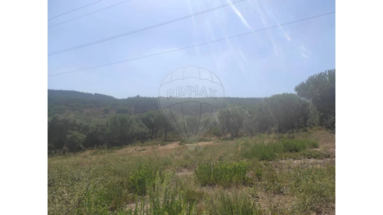 Terreno para Venda em Alcoentre Foto 3