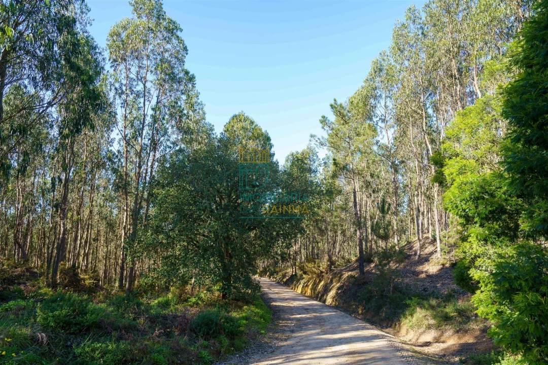 Terreno para Venda em Vau Foto 6