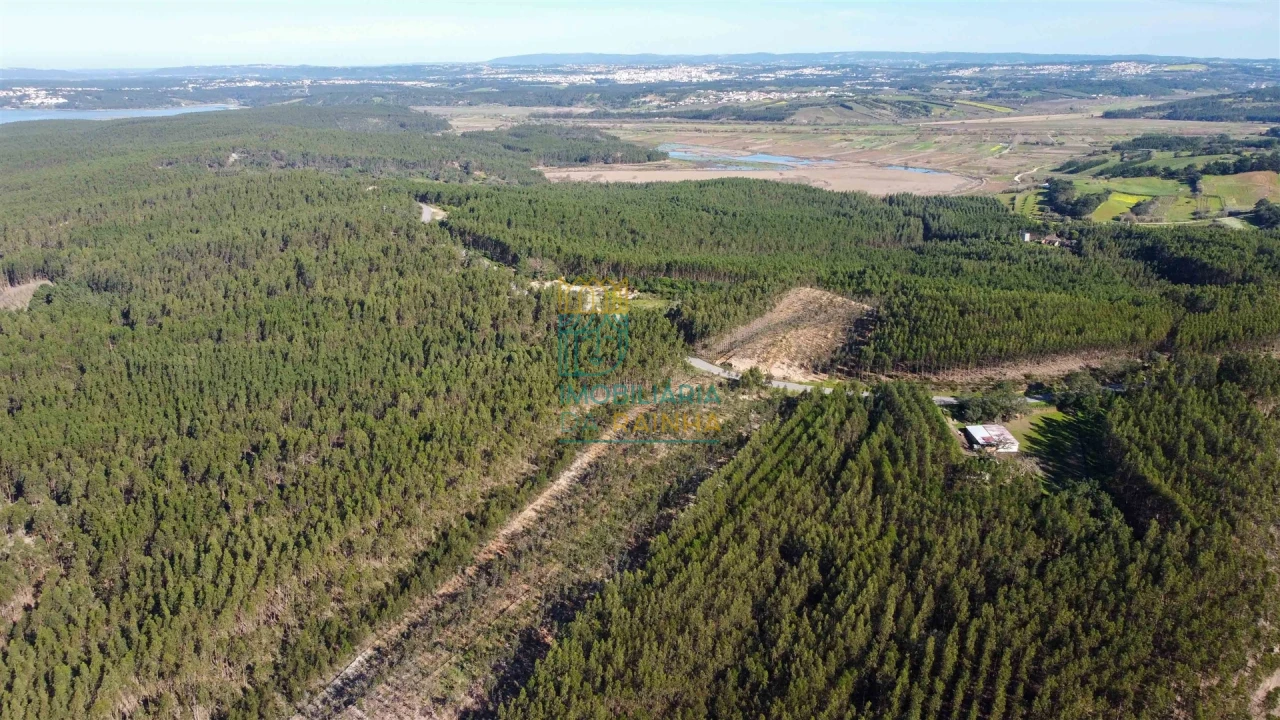 Terreno para Venda em Vau Foto 5