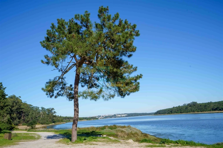 Terreno para Venda em Vau Foto 7