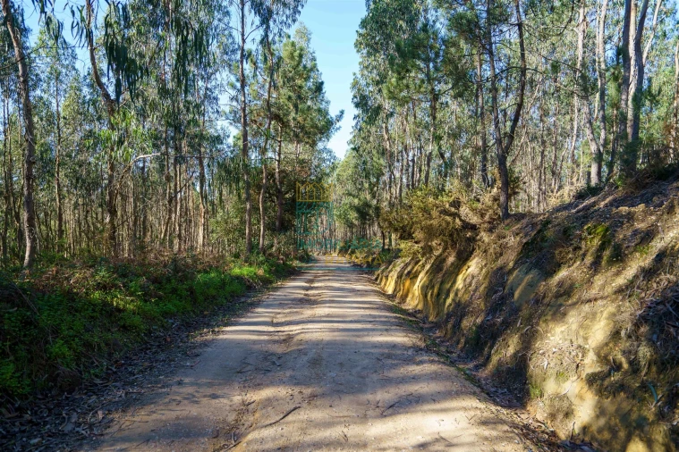 Terreno para Venda em Vau Foto 2