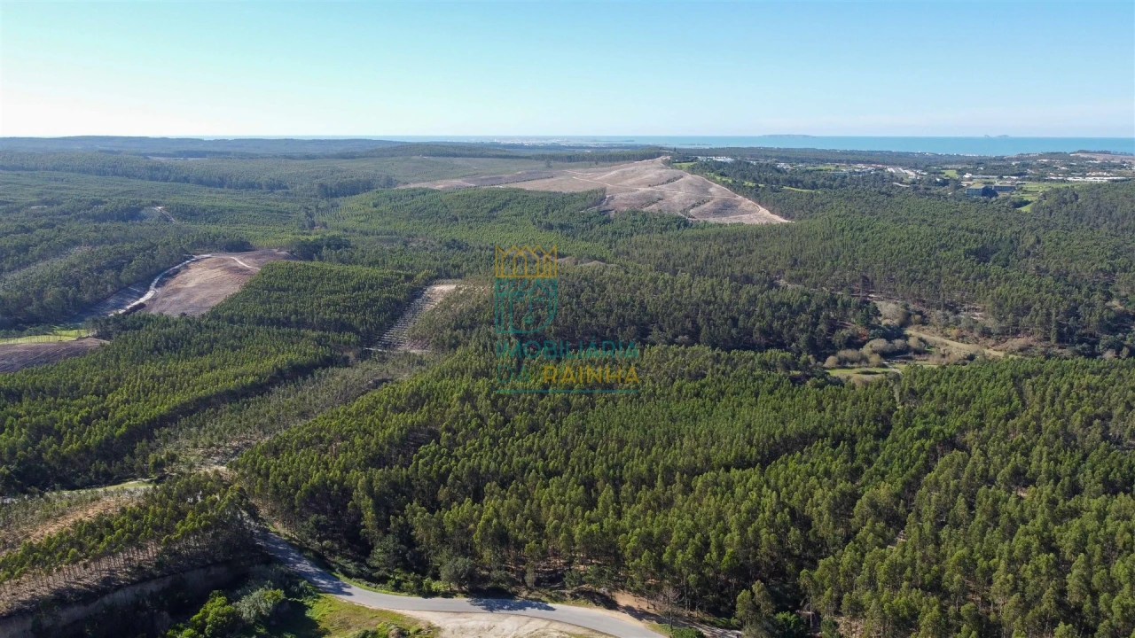 Terreno para Venda em Vau Foto 2