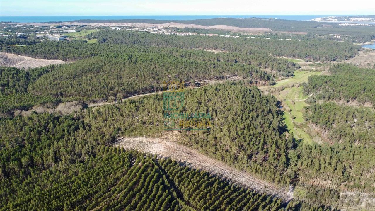 Terreno para Venda em Vau Foto 8