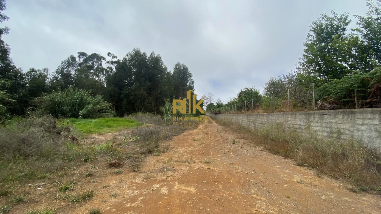 Terreno para Venda em Prazeres Foto 27