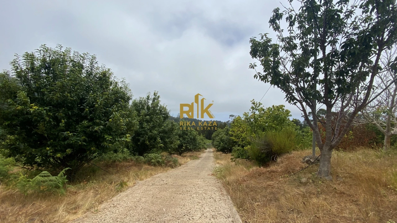 Terreno para Venda em Prazeres Foto 18