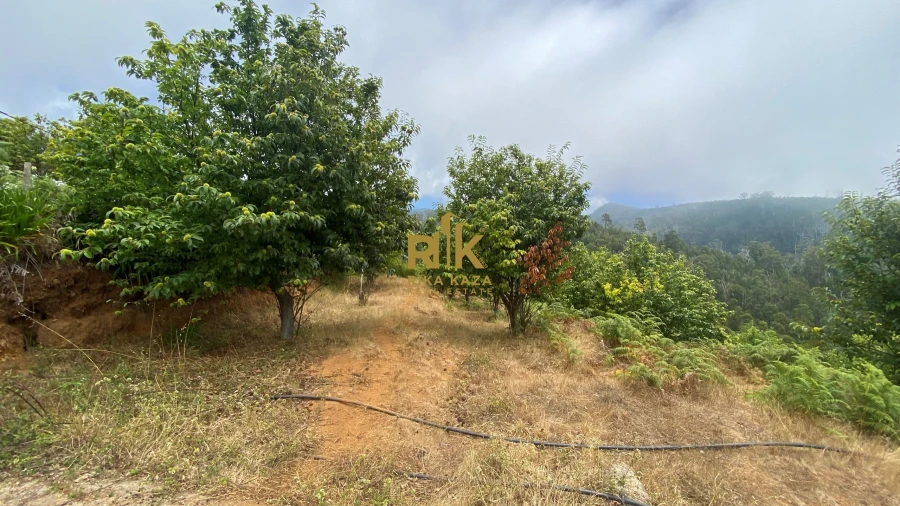 Terreno para Venda em Prazeres Foto 17