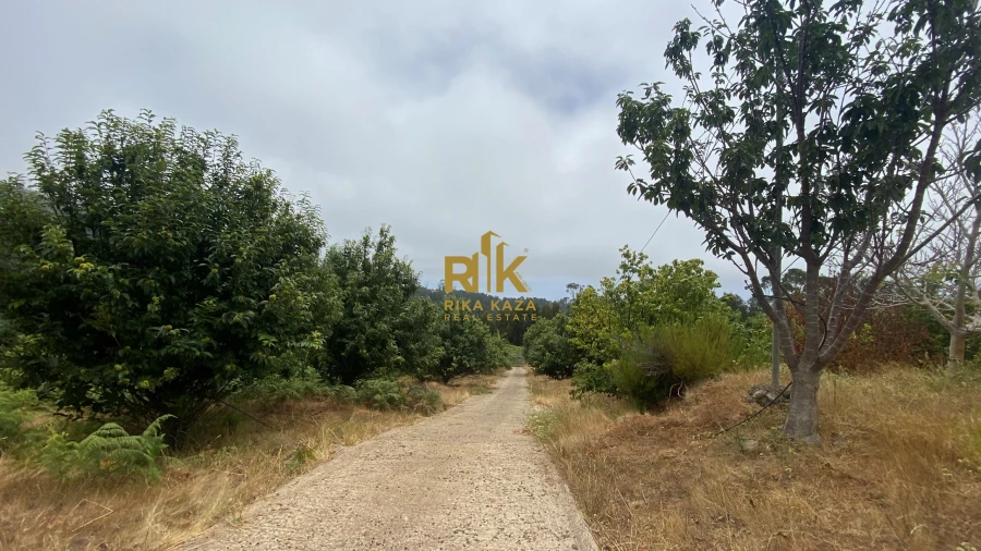 Terreno para Venda em Prazeres Foto 18