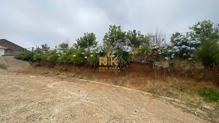 Terreno para Venda em Prazeres Foto 19