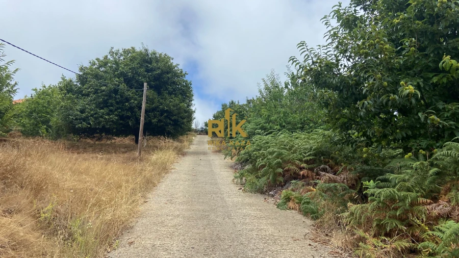 Terreno para Venda em Prazeres Foto 24