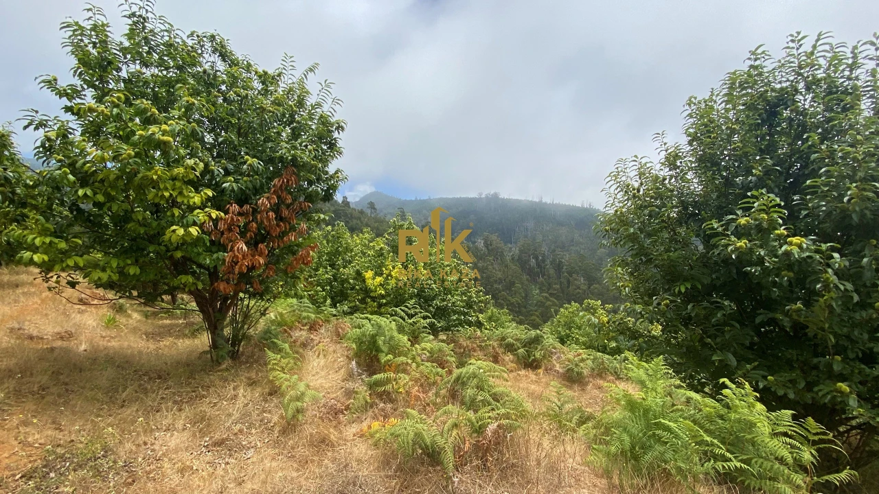 Terreno para Venda em Prazeres Foto 20
