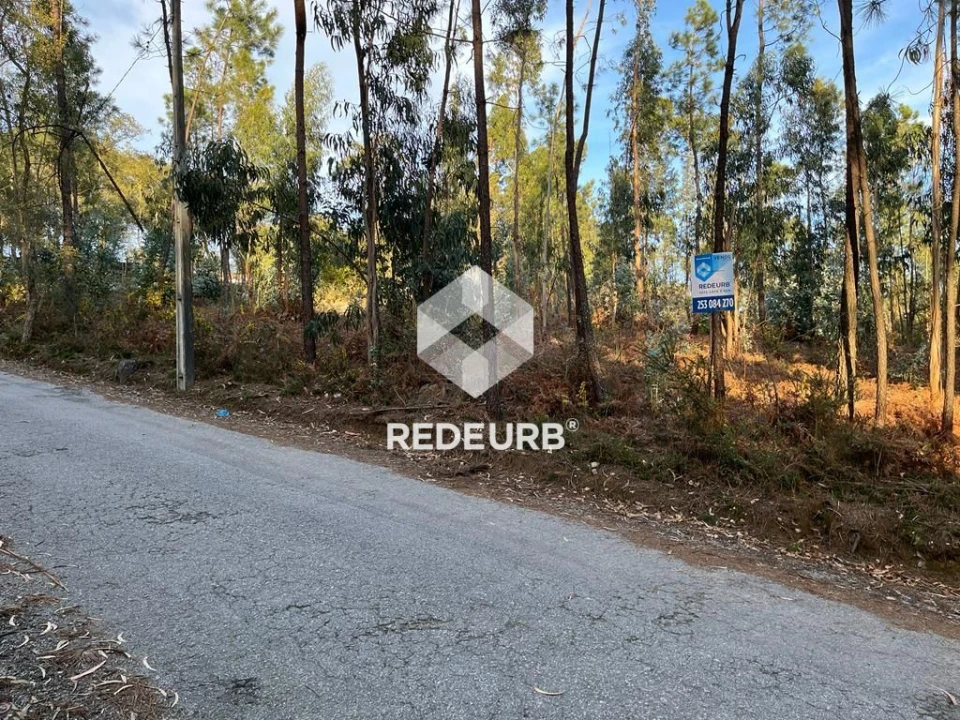 Terreno Agricola ou Rústico para Venda em Oliveira Foto 1