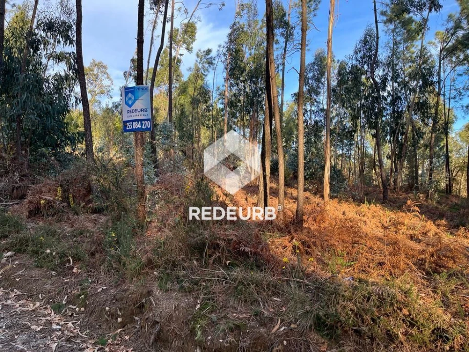Terreno Agricola ou Rústico para Venda em Oliveira Foto 5