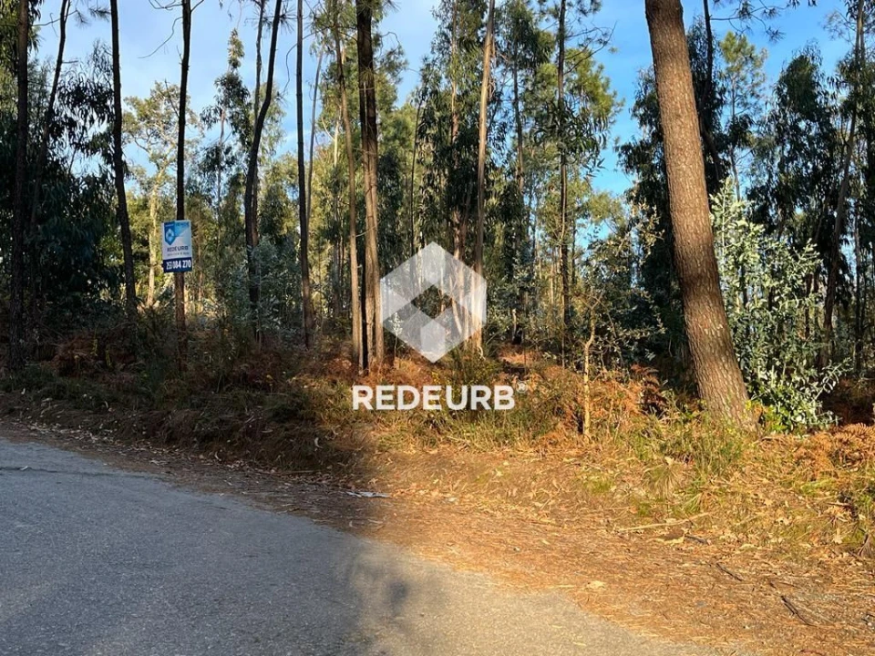 Terreno Agricola ou Rústico para Venda em Oliveira Foto 6