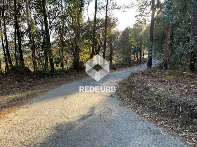 Terreno Agricola ou Rústico para Venda em Oliveira Foto 4