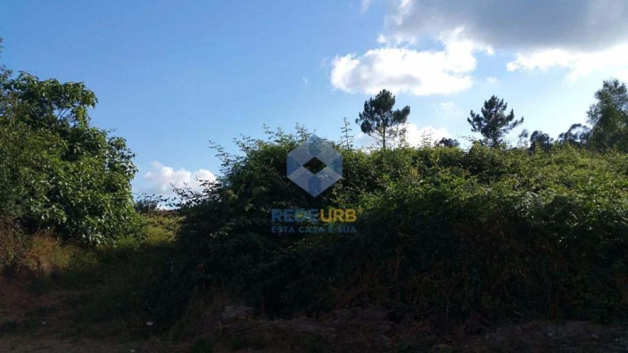 Terreno Agricola ou Rústico para Venda em Escariz (São Mamede) e Escariz (São Martinho) Foto 4