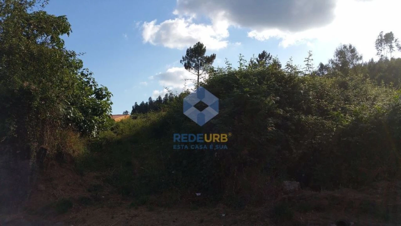 Terreno Agricola ou Rústico para Venda em Escariz (São Mamede) e Escariz (São Martinho) Foto 5