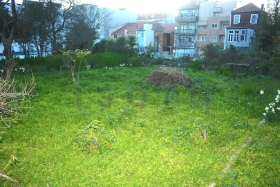 Apartamento T10 para Venda em Cedofeita, Santo Ildefonso, Sé, Miragaia, São Nicolau e Vitória