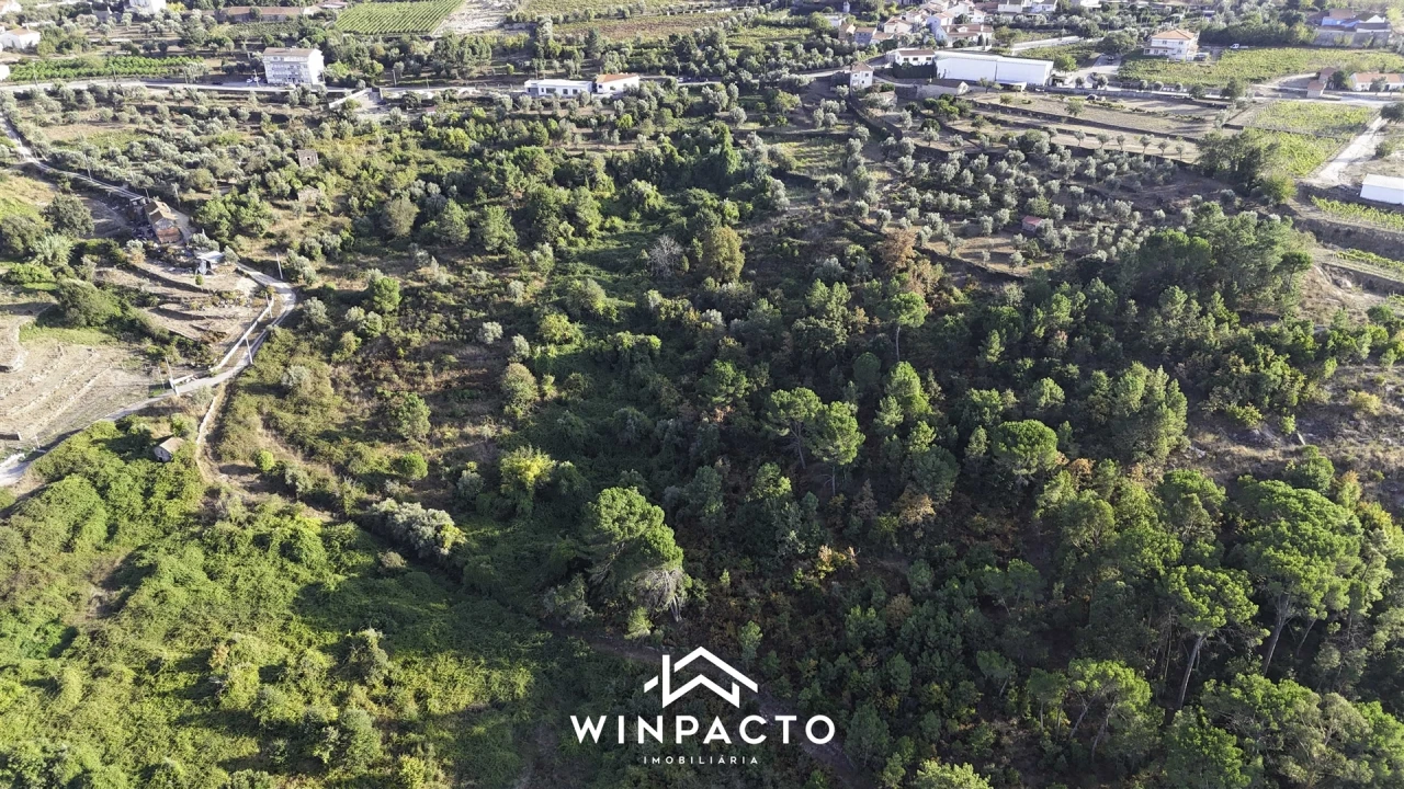 Terreno Agricola ou Rústico para Venda em Santar e Moreira Foto 4