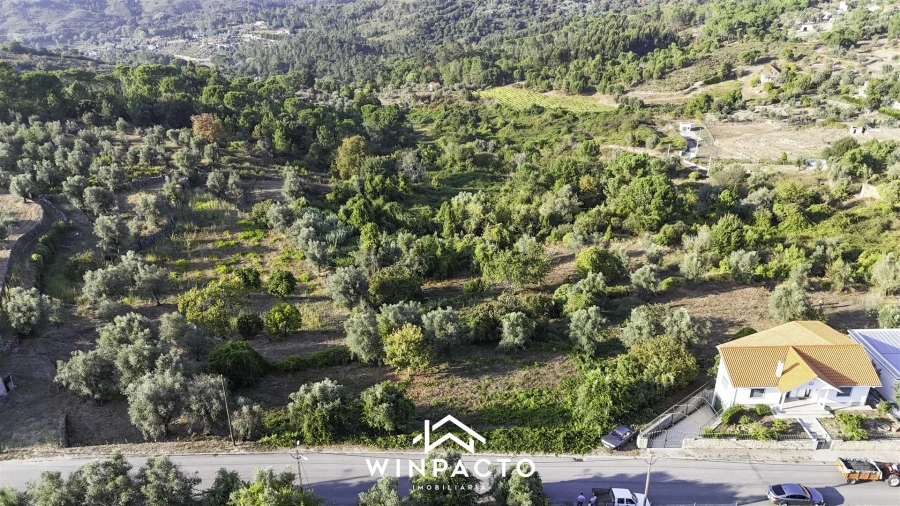 Terreno Agricola ou Rústico para Venda em Santar e Moreira Foto 3